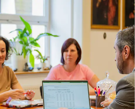 audit, přezkum ckdanova