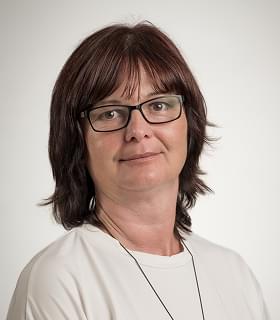 Ing. Lollková